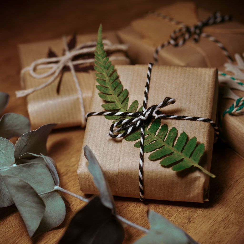 Premiers_envois Emballage de vos bijoux aux petits soins avec fougères, ginko, plume...par Les Naturalistes bijoux