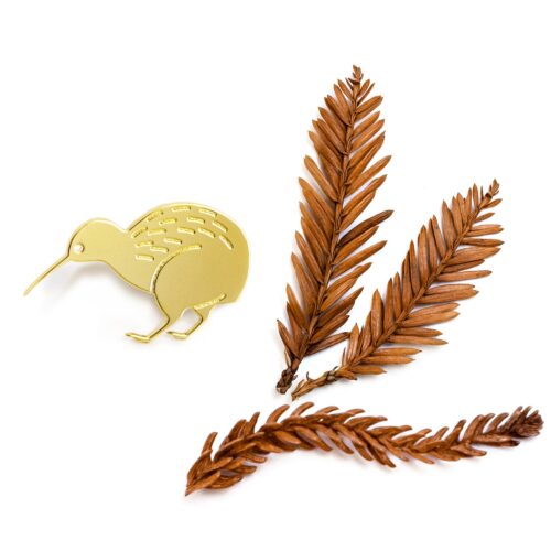 Le kiwi