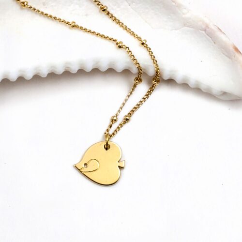 Le poisson ange
