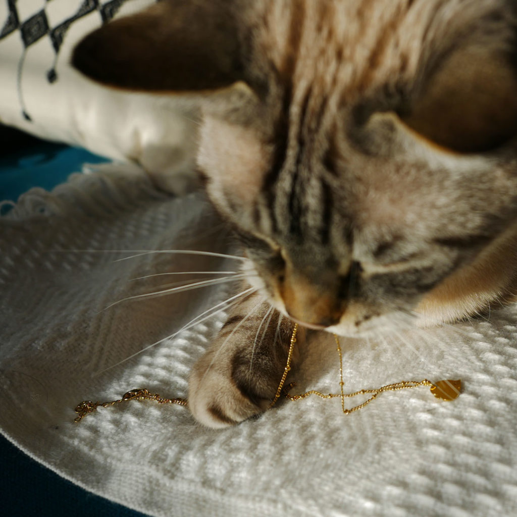 Zizou Collier poisson ange finition or avec un gros chat - Les Naturalistes bijoux