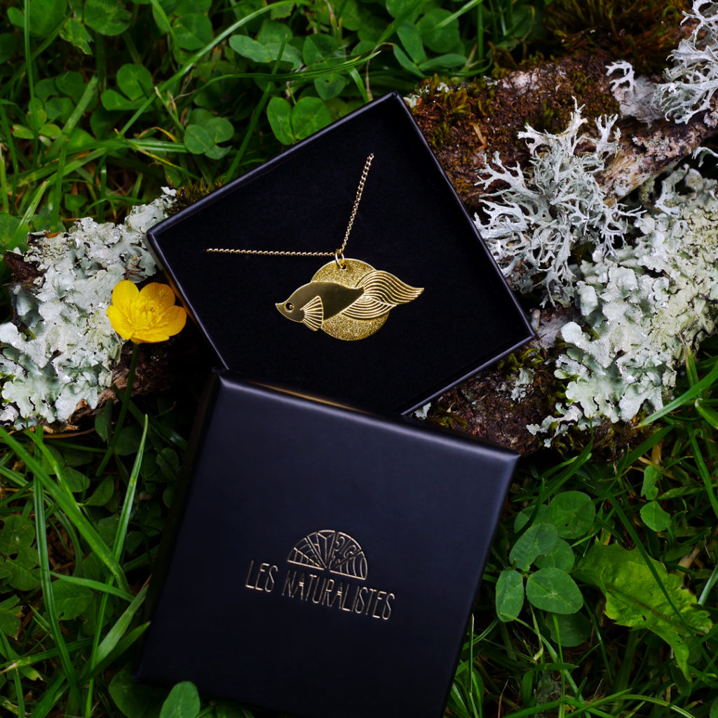 boite Sautoir poisson voile finition Or dans sa boîte personnalisée - Les Naturalistes bijoux