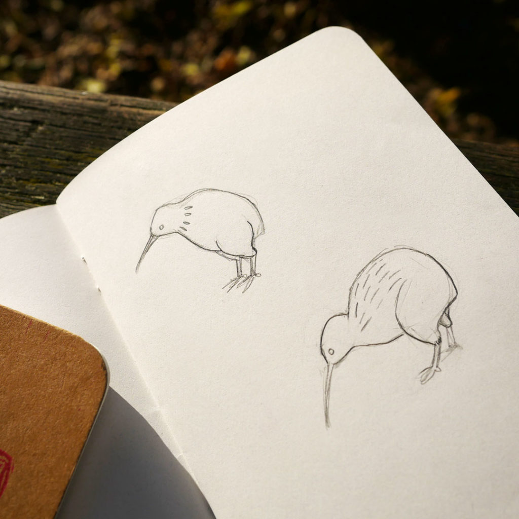 dessin Dessins préparatoires du pins kiwi - Les Naturalistes bijoux