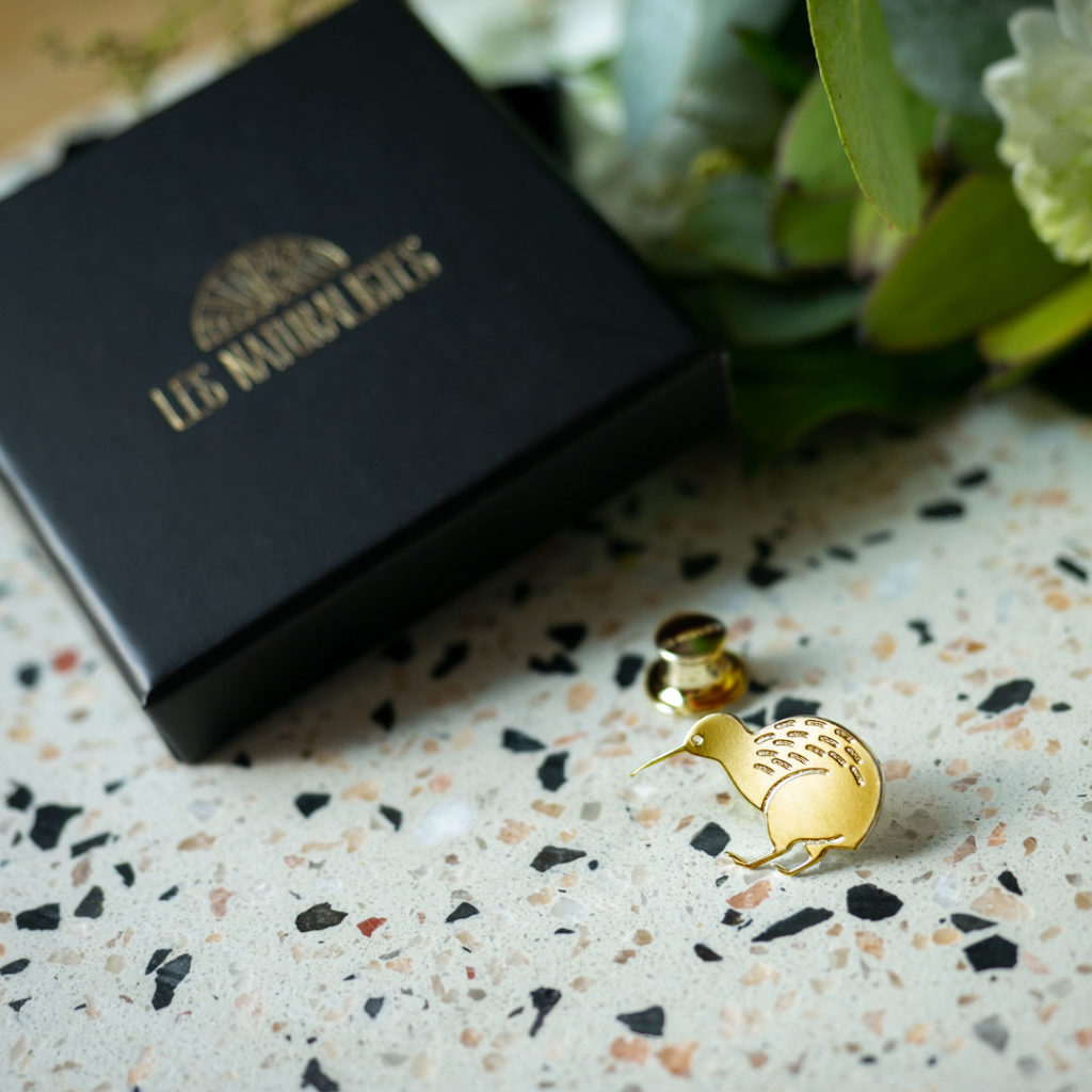 kiwi_02 Pins kiwi finition or avec sa boîte sur du terrazio- Les Naturalistes bijoux