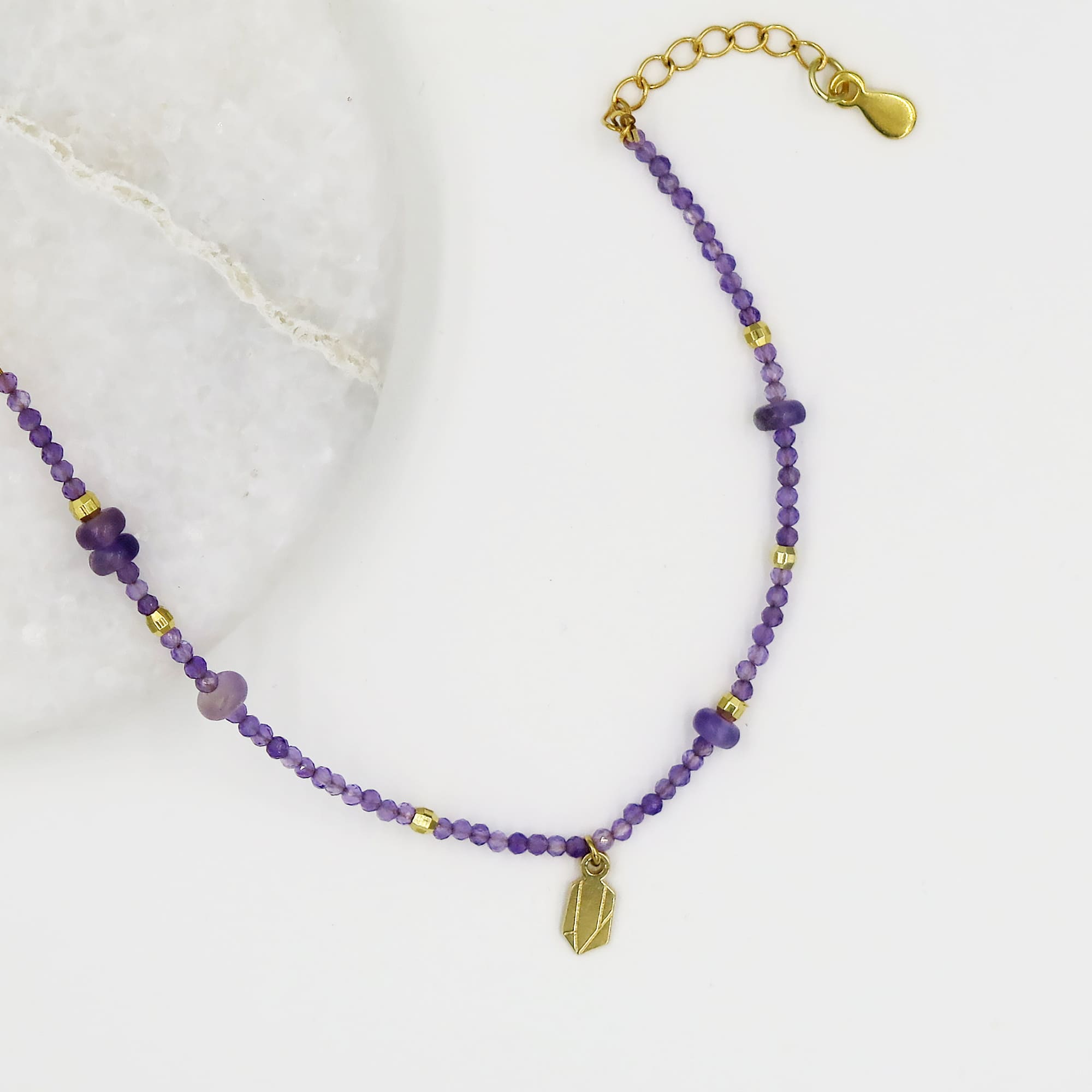 LesNaturalistes_B13_OR_AME_CRI_Contexte