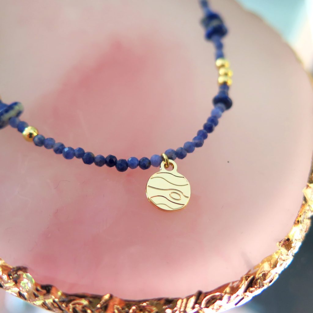 LesNaturalistes_B13_OR_LAP_JUP_Contexte2