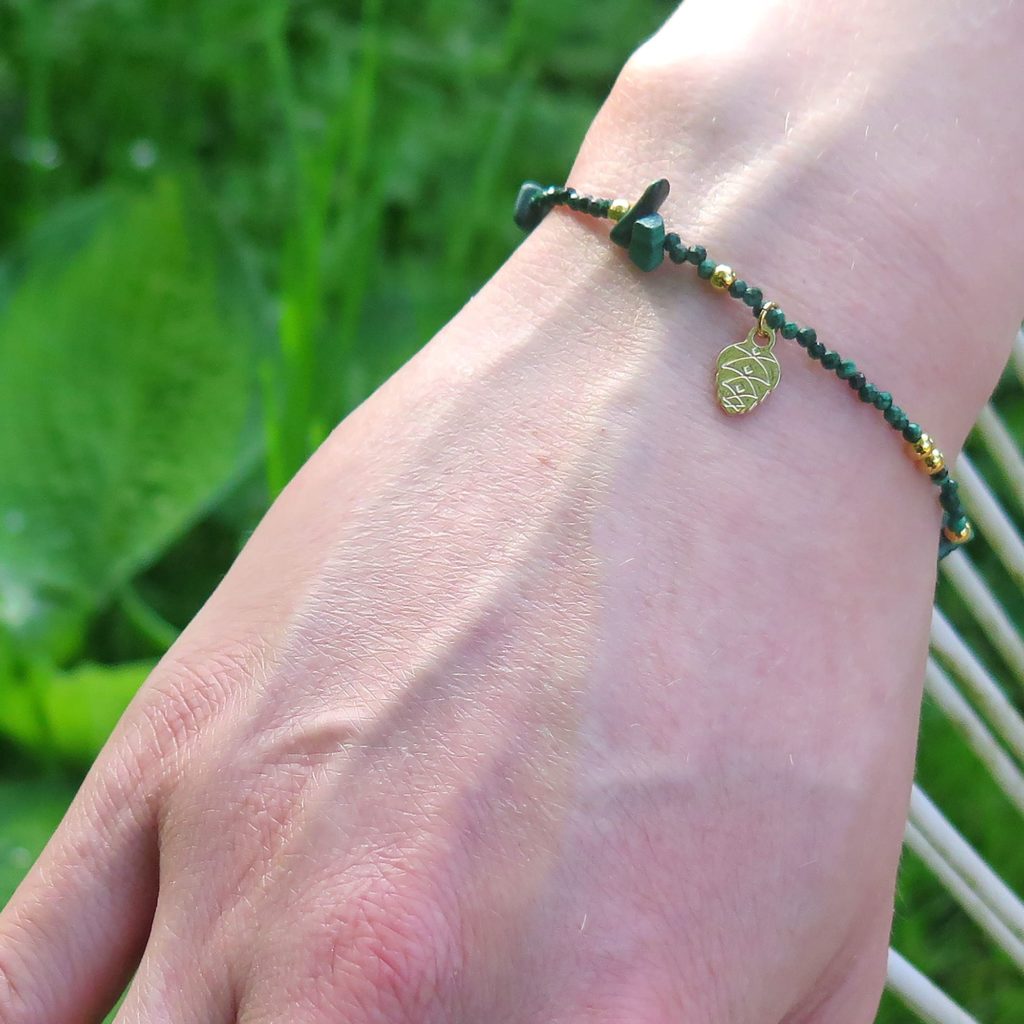 LesNaturalistes_B13_OR_MALA_POM_Contexte