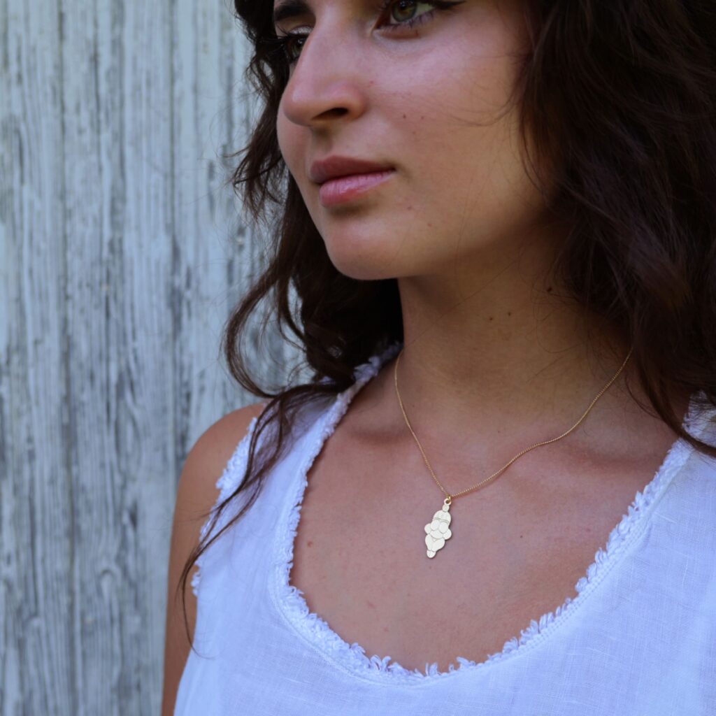 LesNaturalistes_Venus_PorteOr04_