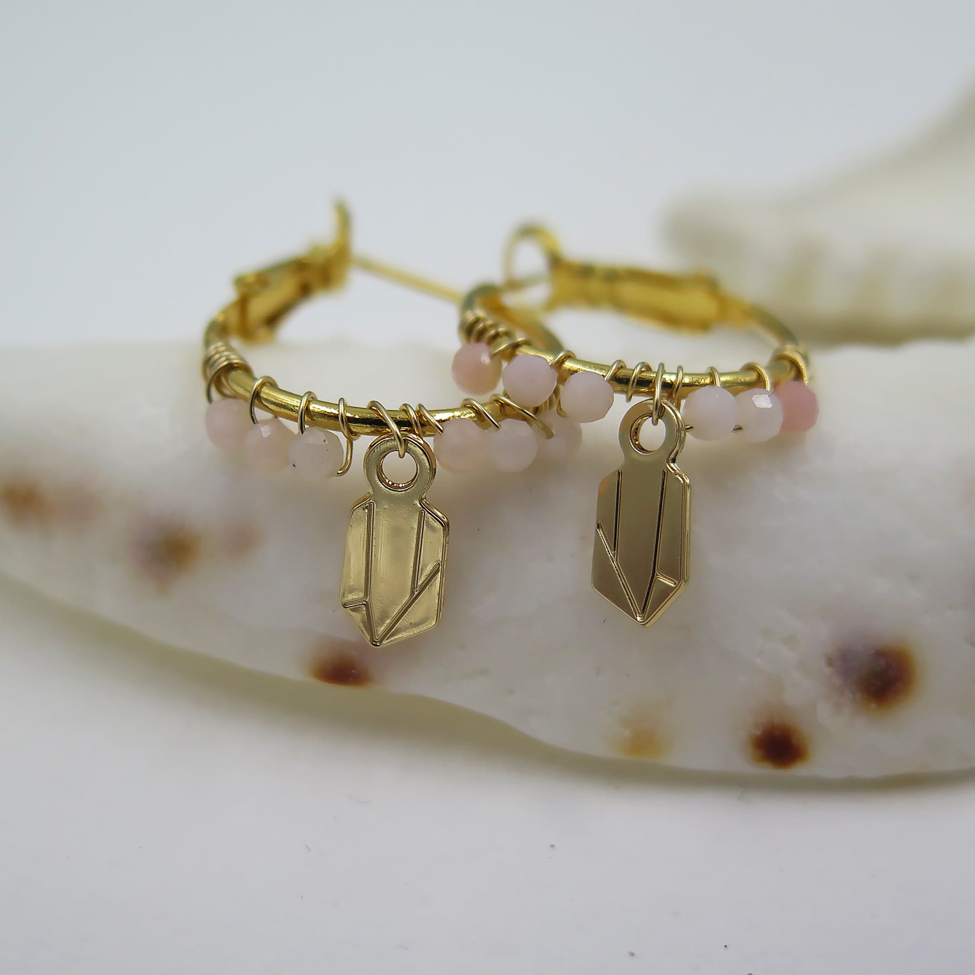 LesNaturalistes_Creoles4cm_contexte_CRI_ROSE