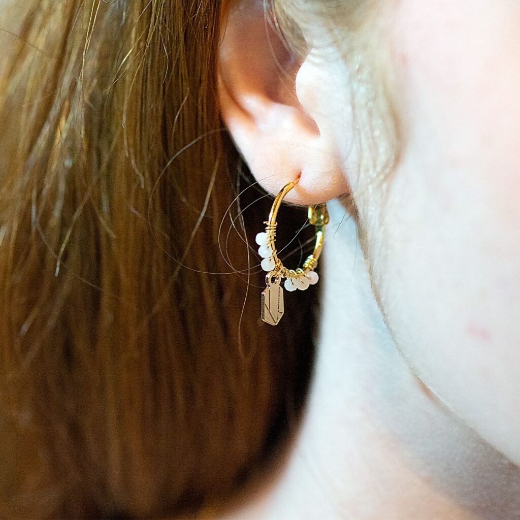 LesNaturalistes_porte_ROS_CRI2