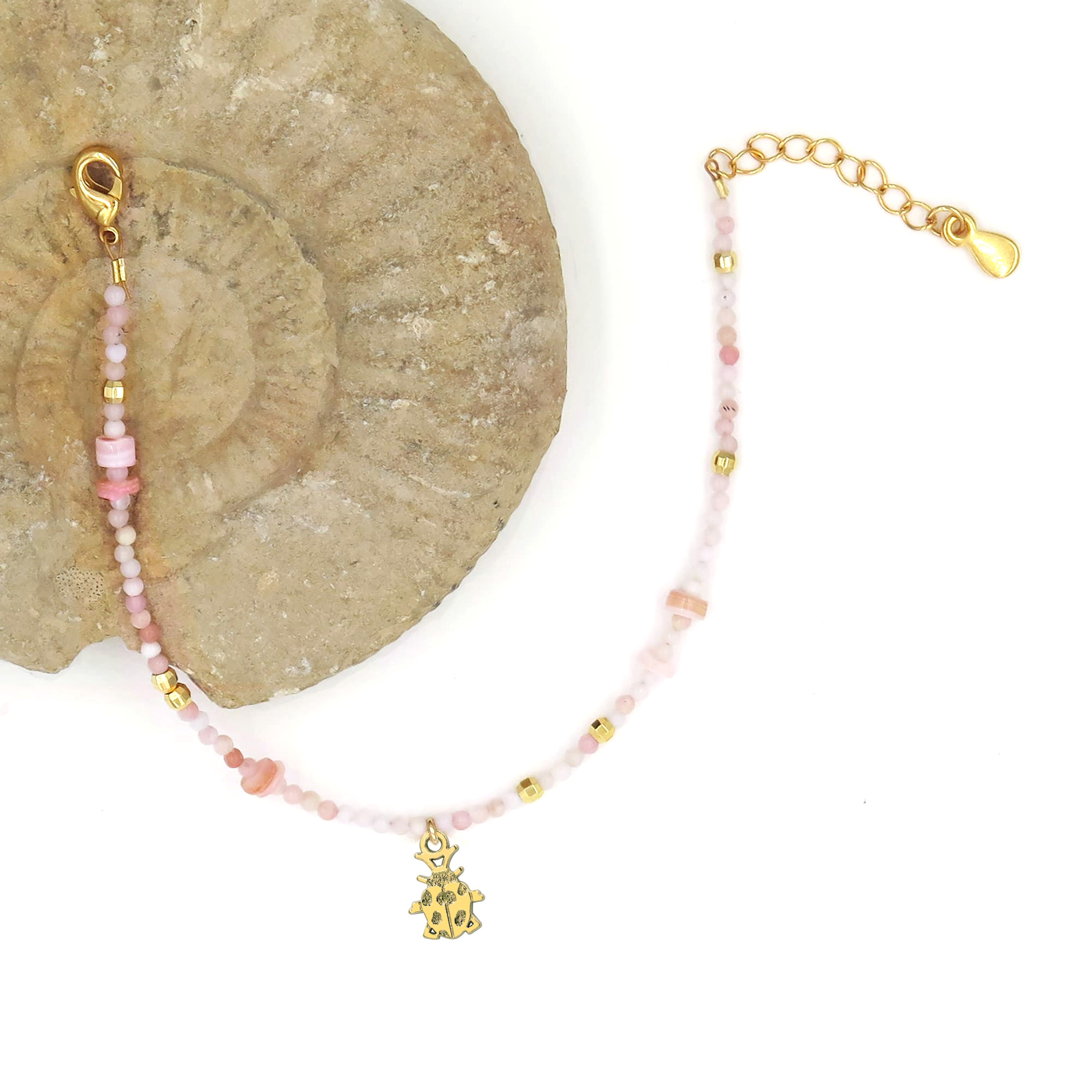 LesNaturalistes_B13_OR_ROSE_SCACOC_Contexte