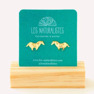 Puces d'oreilles cheval