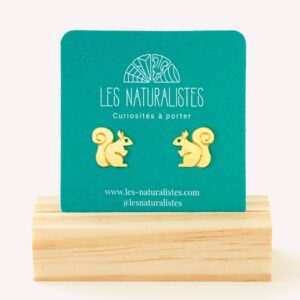 Puces d'oreilles Ecureuil