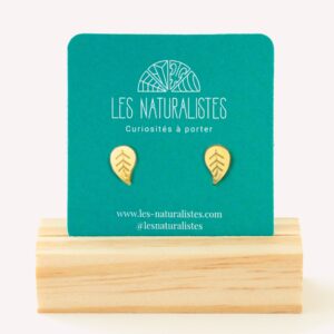 Puces d'oreilles Feuille