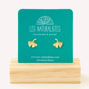Puces d'oreilles Ginkgo