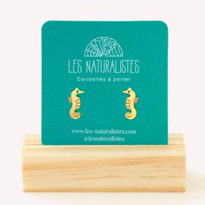 Puces d'oreilles Hippocampe