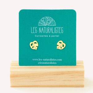 Puces d'oreilles Monstera