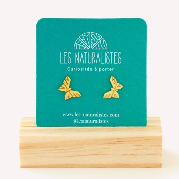 Puces d'oreilles Papillon