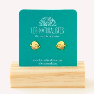 Puces d'oreilles Poisson ange