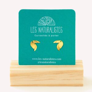 Puces d'oreilles Toucan