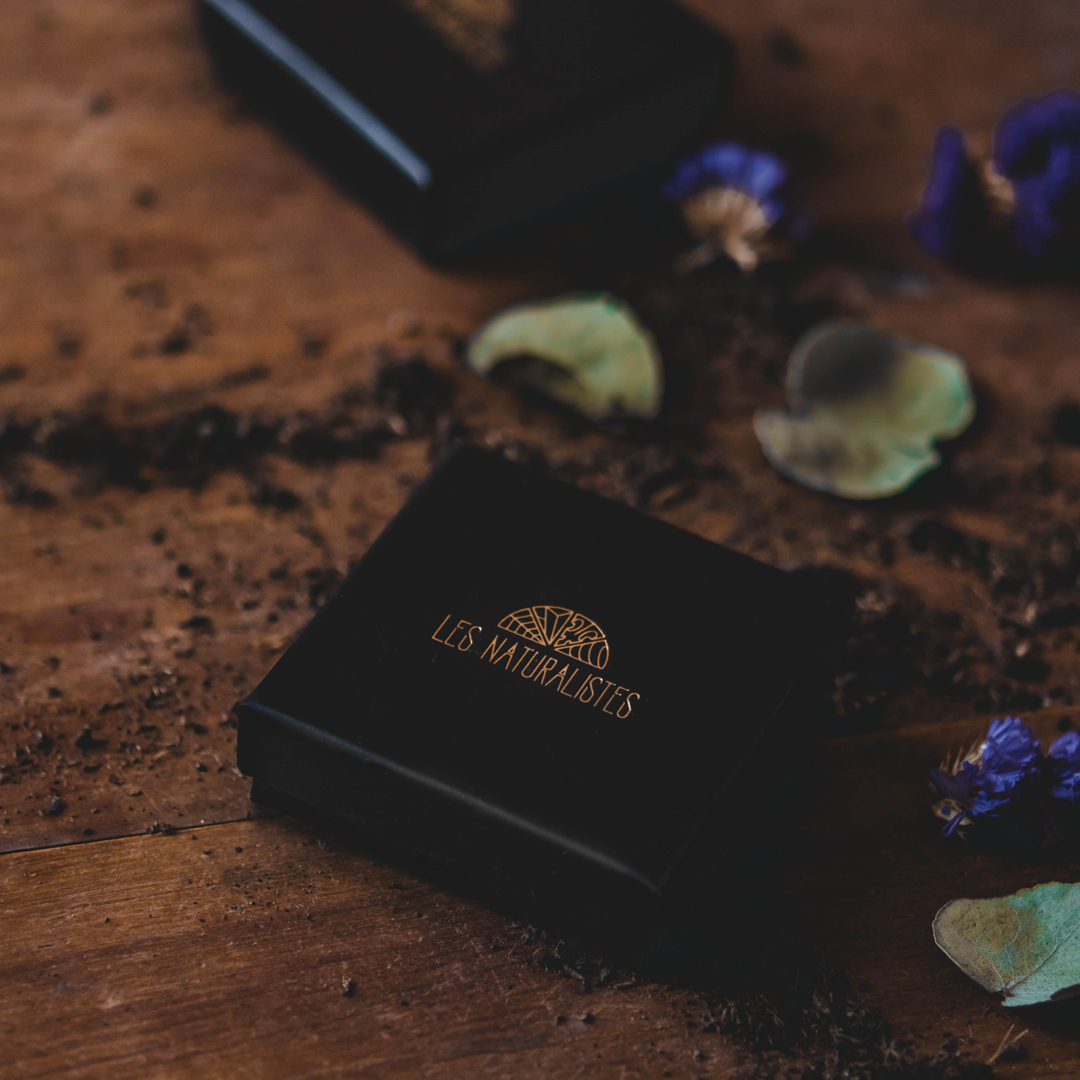 De jolies boîtes Les Naturalistes bijoux