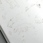 Dessins préparatoire du modèle de bijou smilodon Les Naturalistes