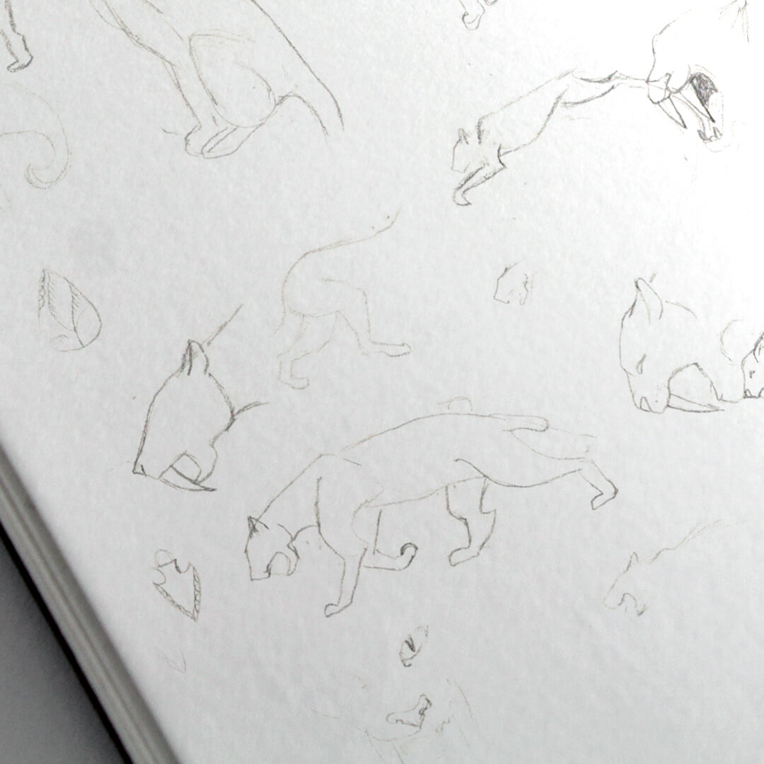 Dessins préparatoire du modèle de bijou smilodon Les Naturalistes