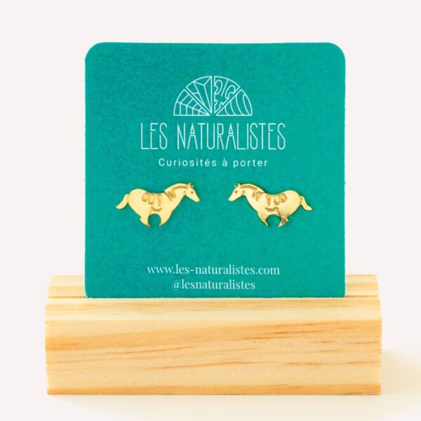 Puces d'oreilles cheval