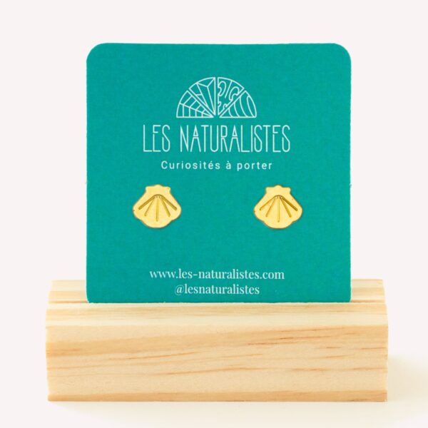 Puces d'oreilles Coquille Saint-Jacques