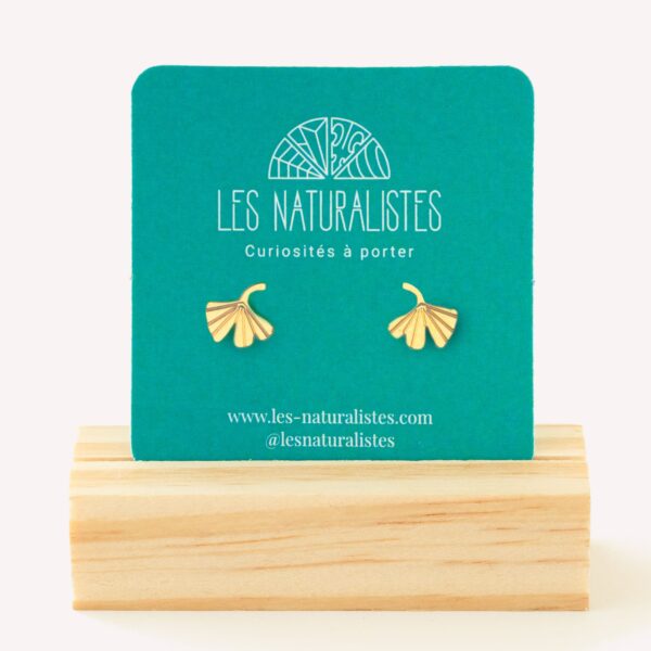Puces d'oreilles Ginkgo
