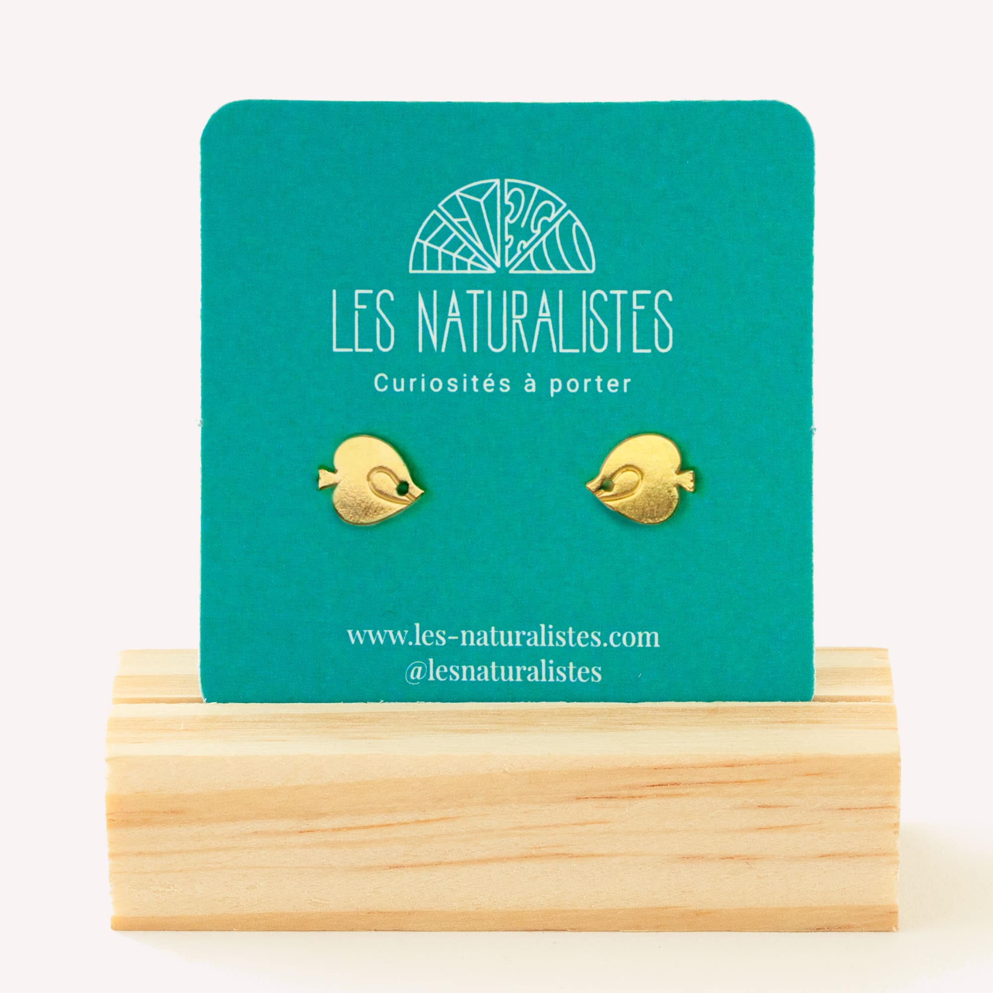 LesNaturalistes_puces_poisson_ange_or_carte