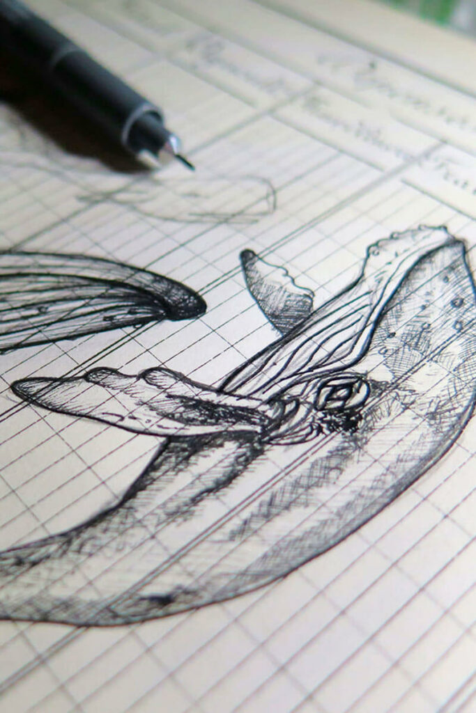 Croquis de baleine dessiné par Myriam pour des études de bijoux Les Naturalistes