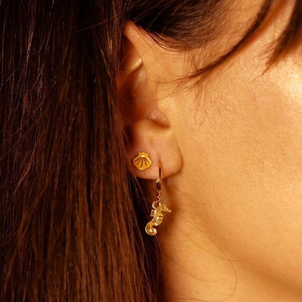 Puces d'oreilles
