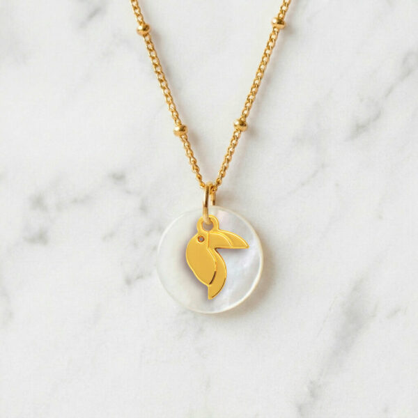 Collier nacre toucan en laiton doré — collection Jungles et forêt — fond blanc 01, Les Naturalistes