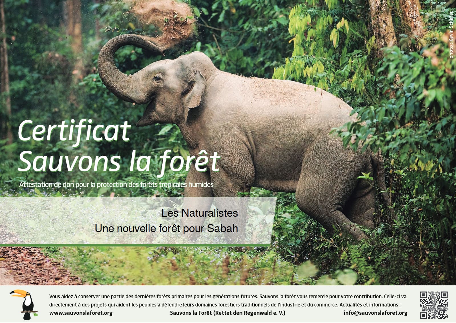 Certificat de don 2021 — Sauvons la forêt "Une nouvelle forêt pour Sabah", Les Naturalistes