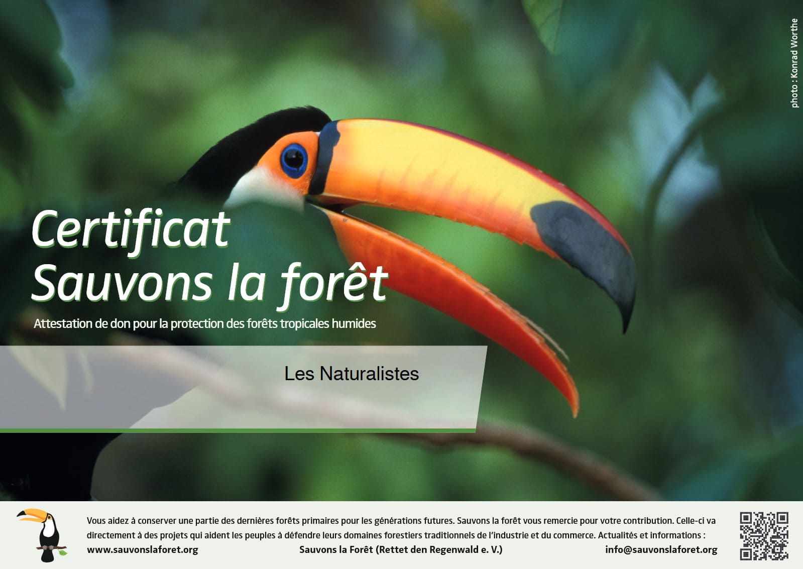 Certificat de don 2022 — Sauvons la forêt Sauver le patrimoine naturel de la Papouasie", Les Naturalistes