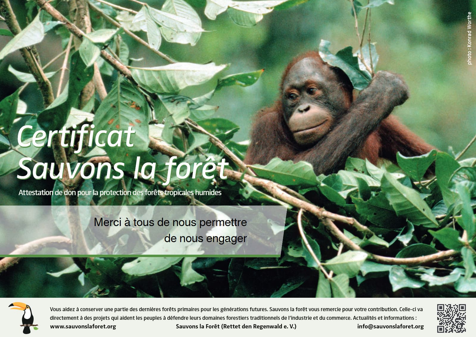Certificat de don 2023 — Sauvons la forêt "Groupe de défense des forêts et des autochtones de Bornéo", Les Naturalistes