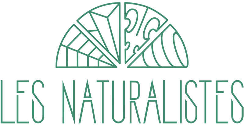 Logo Les Naturalistes bijoux